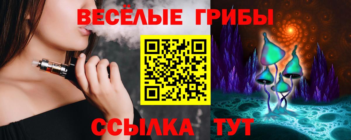 Нижний Тагил  Псилоцибиновые грибы Psilocybe  Вход с VPN 